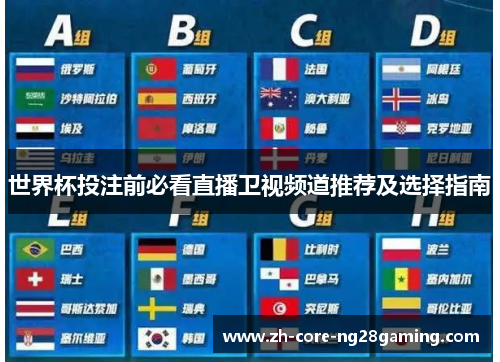 世界杯投注前必看直播卫视频道推荐及选择指南