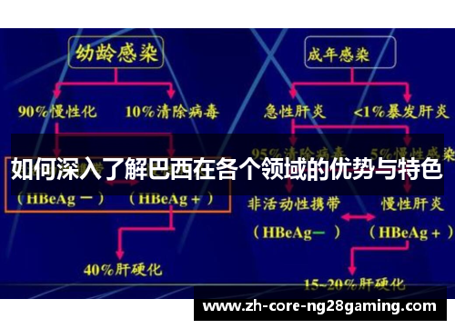 如何深入了解巴西在各个领域的优势与特色