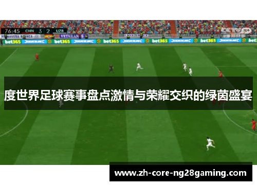 度世界足球赛事盘点激情与荣耀交织的绿茵盛宴