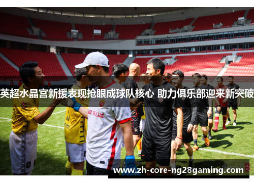 英超水晶宫新援表现抢眼成球队核心 助力俱乐部迎来新突破
