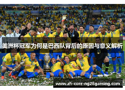 美洲杯冠军为何是巴西队背后的原因与意义解析