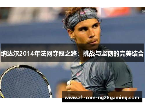 纳达尔2014年法网夺冠之路：挑战与坚韧的完美结合