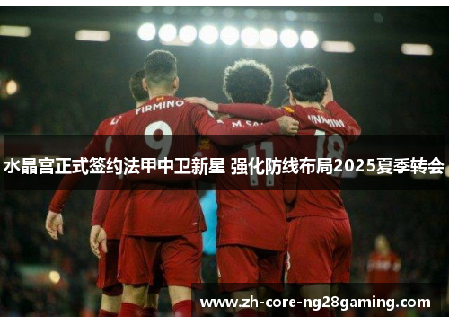 水晶宫正式签约法甲中卫新星 强化防线布局2025夏季转会